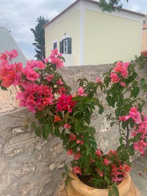 Villa 1853, Spetses Ground Floor Dış mekan fotoğraf