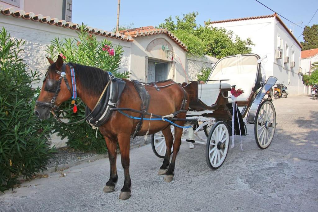 Villa 1853, Spetses Ground Floor Dış mekan fotoğraf